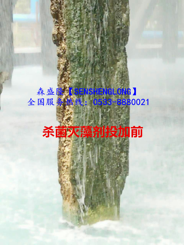 非氧化杀菌灭藻剂森盛隆专利配方