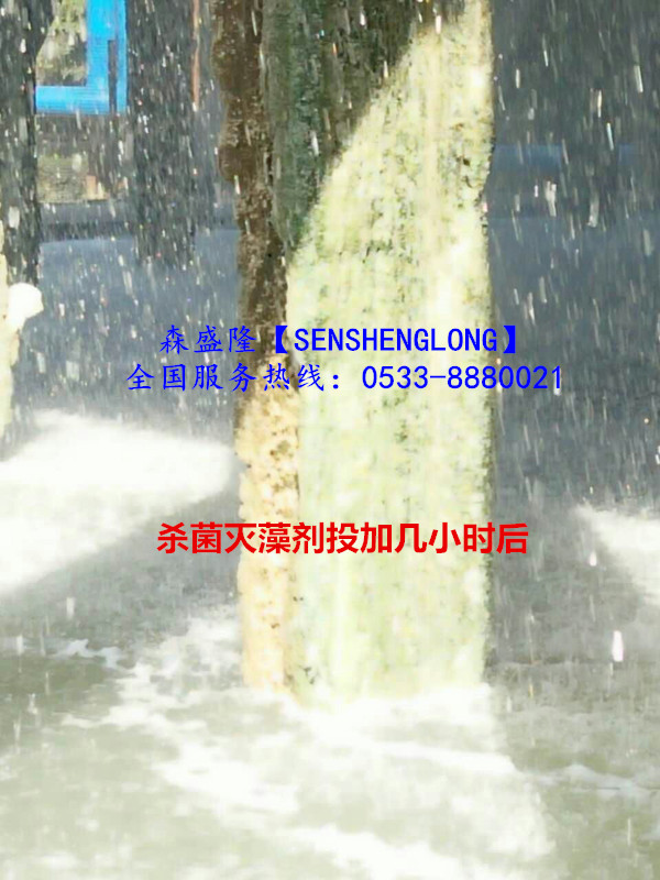 杀菌灭藻剂森盛隆氧化非氧化高效杀菌