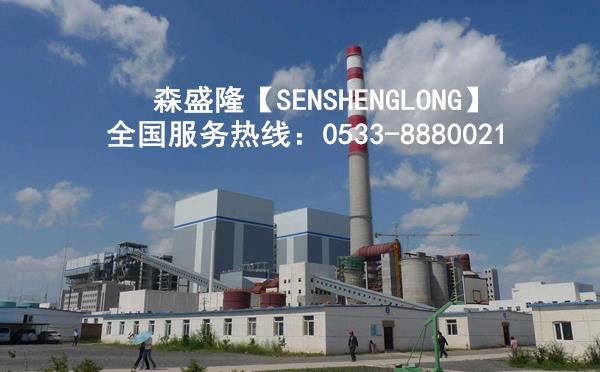 杀菌灭藻剂在火力发电循环冷却水应用